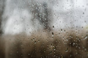 rainy window
